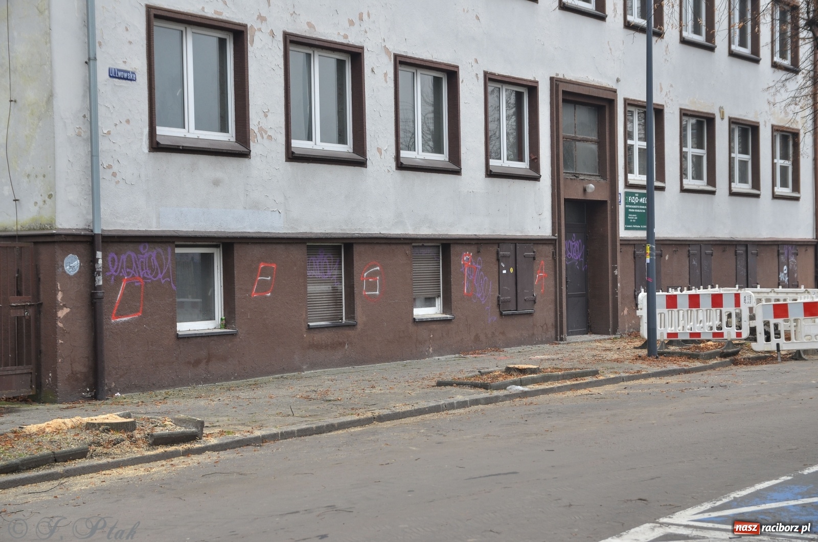 Zdjęcie w galerii na portalu naszraciborz.pl: Wycięto cztery lipy przy Słoneczku na Lwowskiej wiadomości z regionu