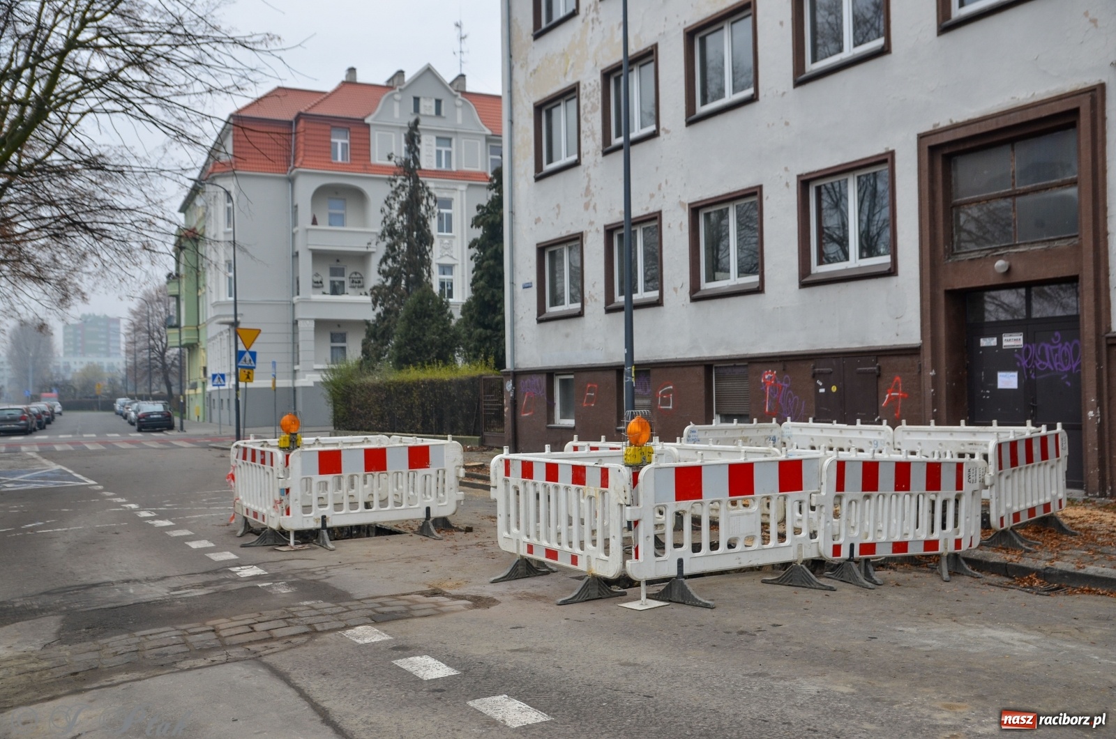 Zdjęcie w galerii na portalu naszraciborz.pl: Wycięto cztery lipy przy Słoneczku na Lwowskiej wiadomości z regionu
