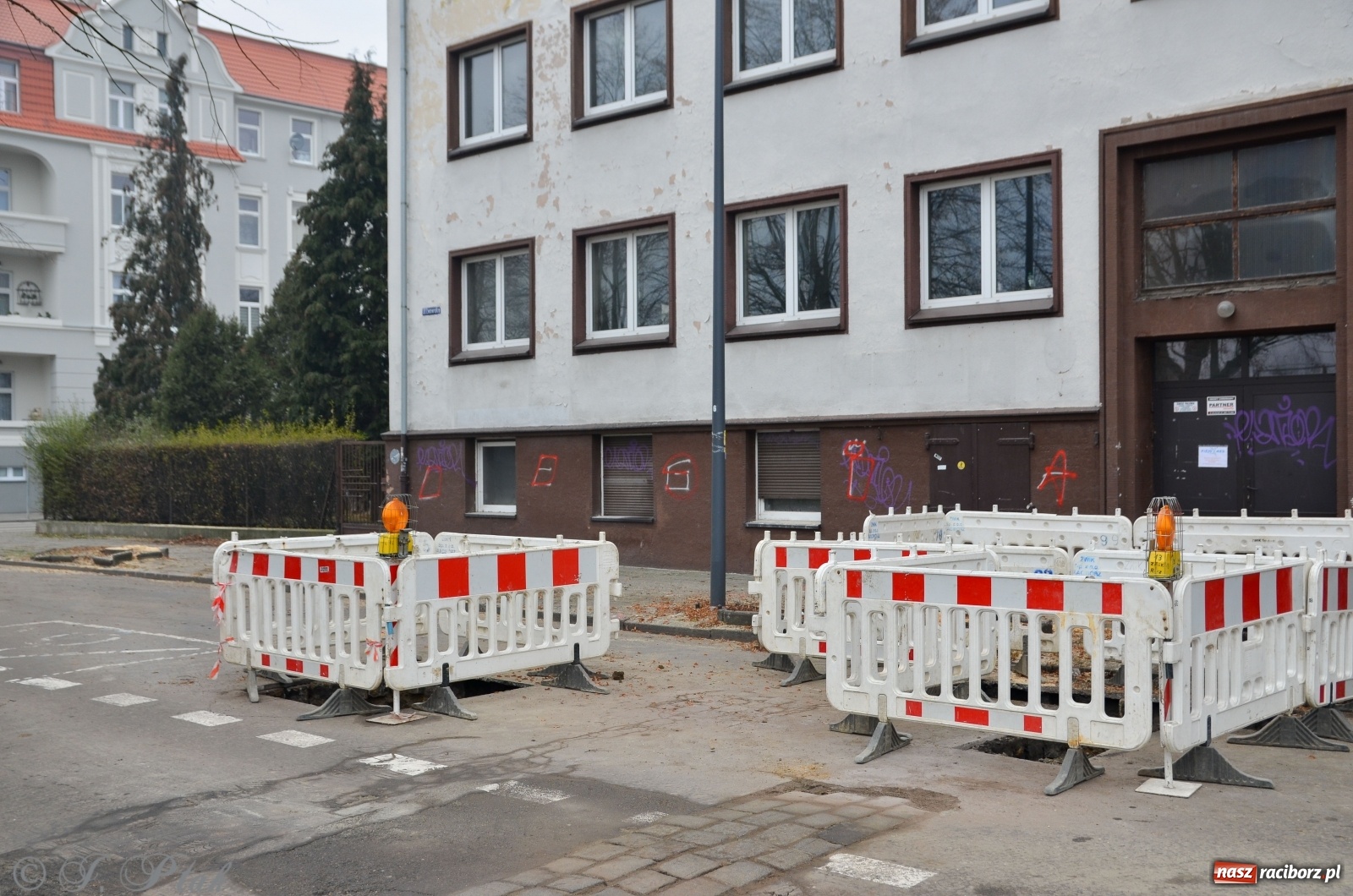 Zdjęcie w galerii na portalu naszraciborz.pl: Wycięto cztery lipy przy Słoneczku na Lwowskiej wiadomości z regionu