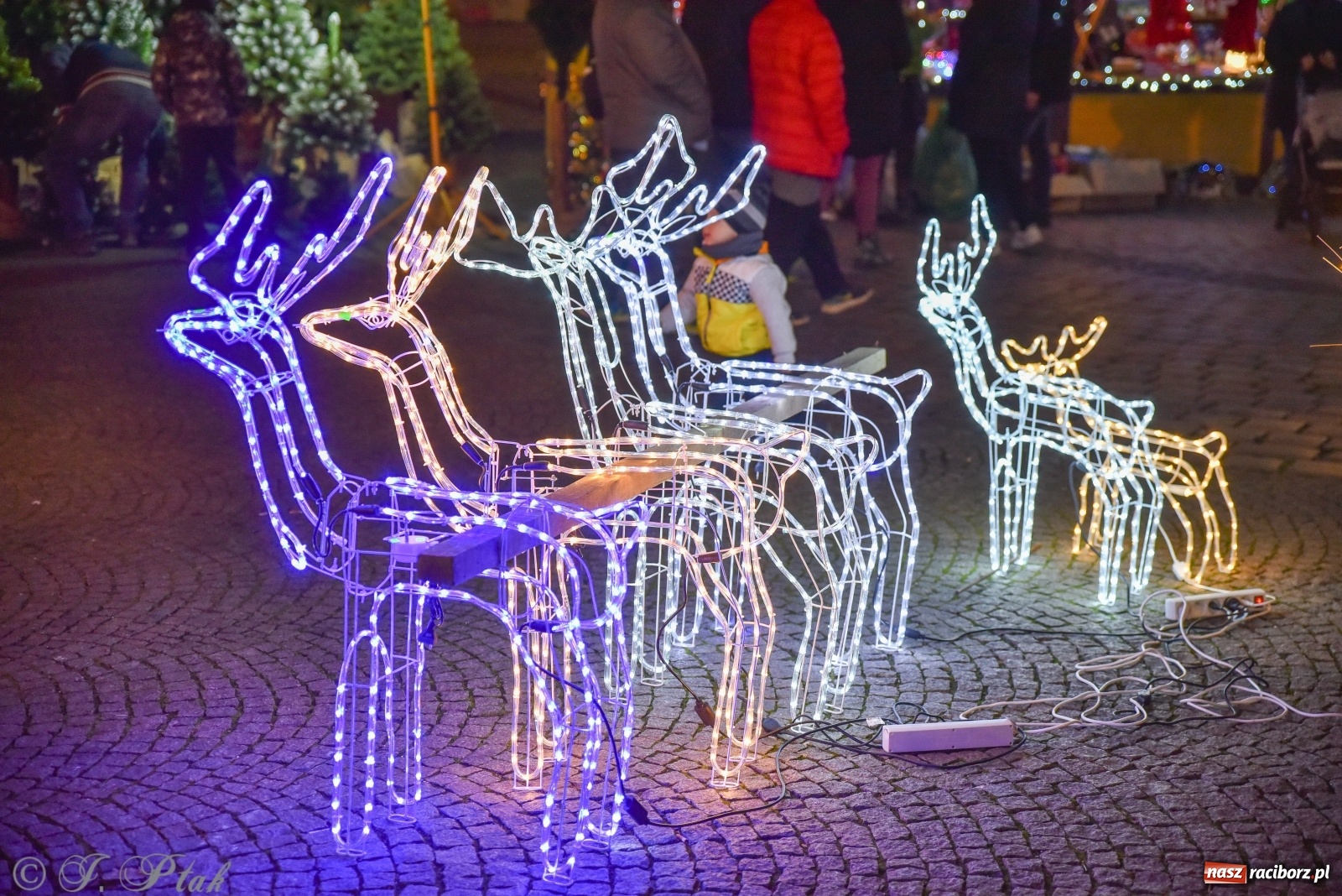 Zdjęcie w galerii na portalu naszraciborz.pl: Przedświąteczne pocztówki z Raciborza wiadomości z regionu
