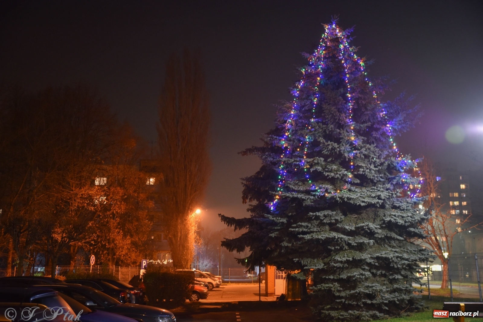 Zdjęcie w galerii na portalu naszraciborz.pl: Przedświąteczne pocztówki z Raciborza wiadomości z regionu