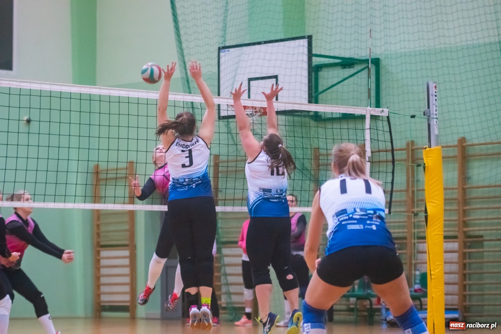 Zdjęcie w galerii na portalu naszraciborz.pl: RLPS. Drugi turniej kobiet w Arenie Rafako [FOTO i WIDEO] wiadomości z regionu