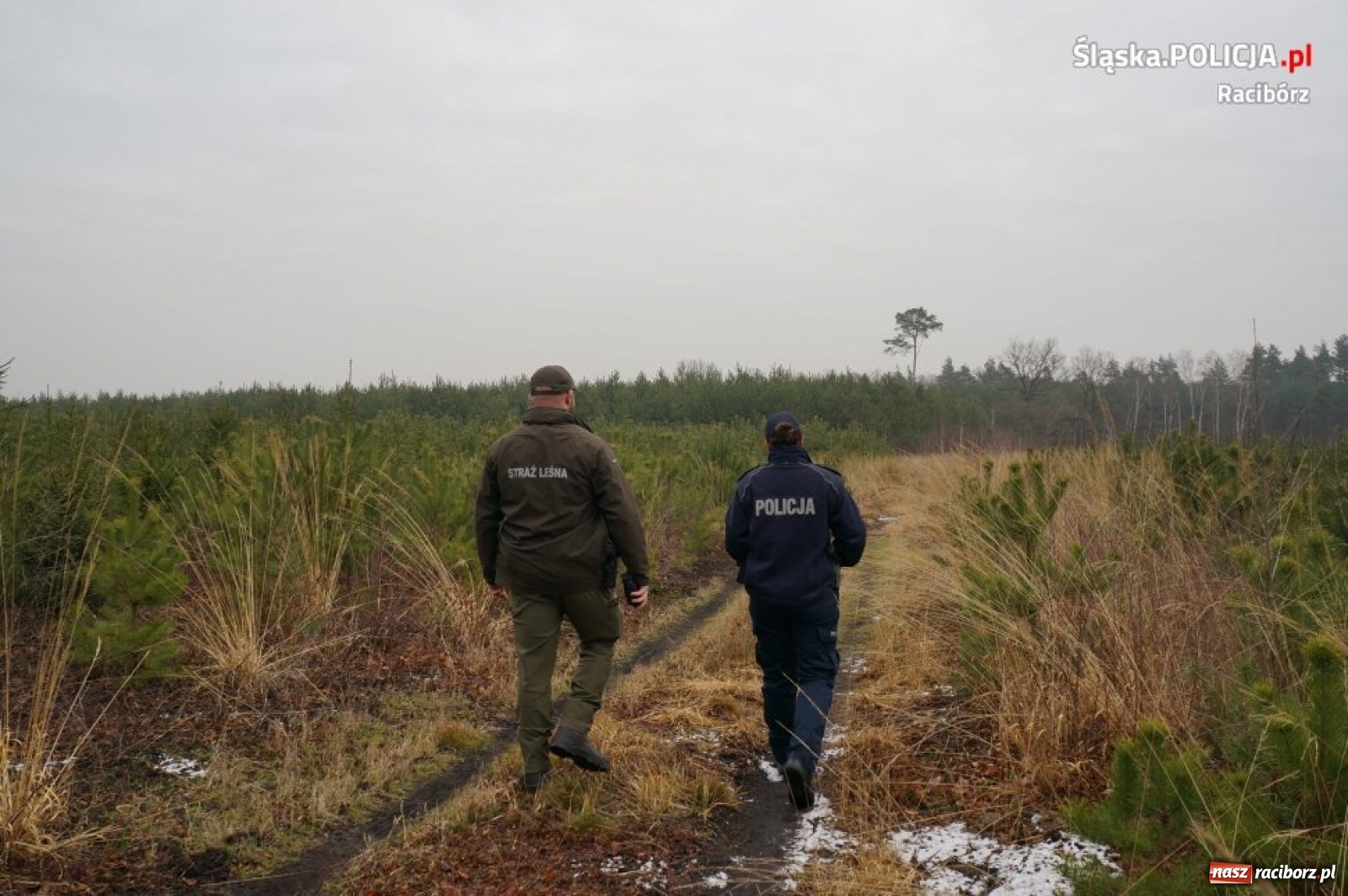 Zdjęcie w galerii na portalu naszraciborz.pl: Kuźniańscy policjanci i strażnicy leśni na wspólnych patrolach wiadomości z regionu