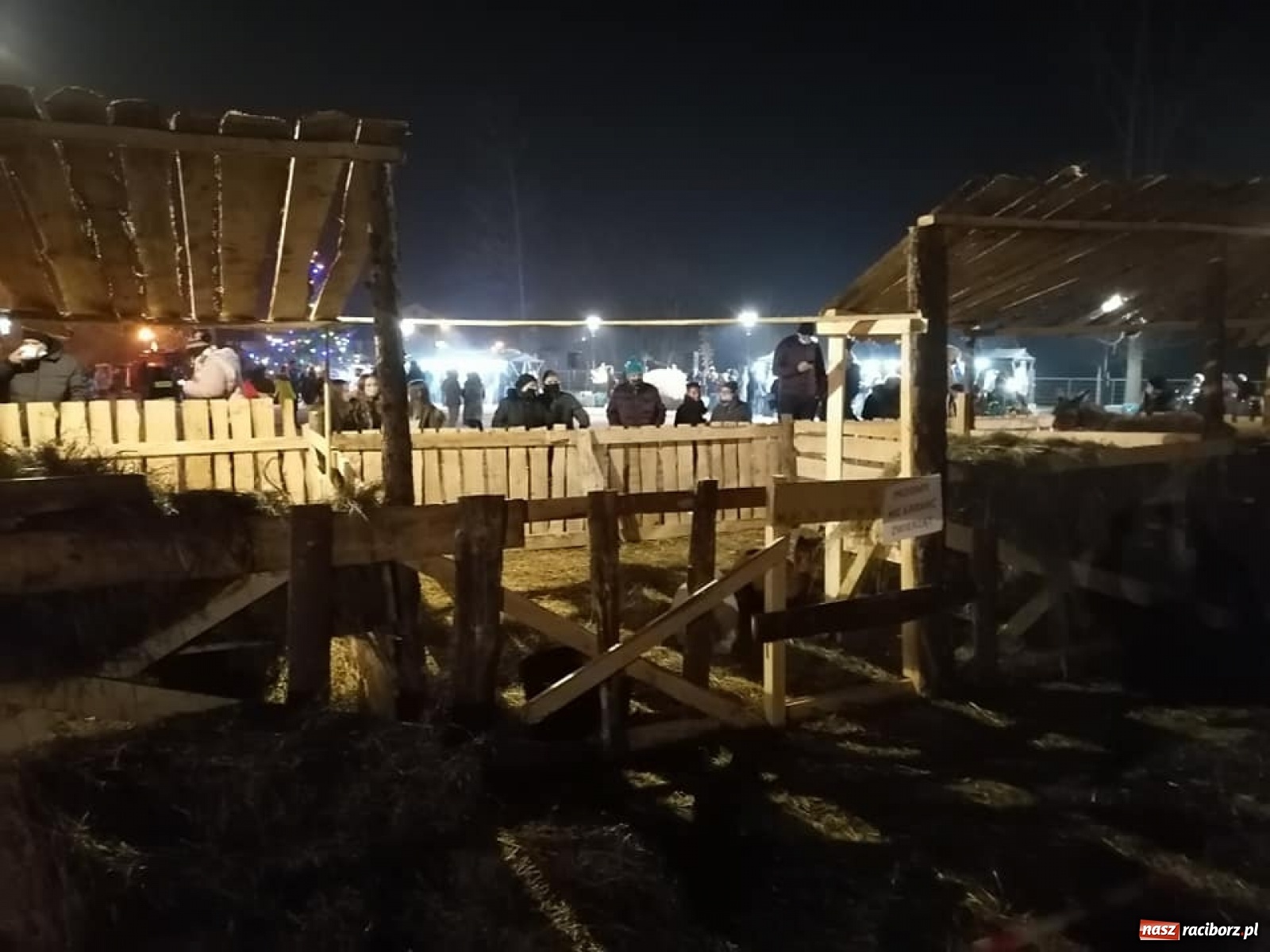 Zdjęcie w galerii na portalu naszraciborz.pl: Jeden magiczny dzień w Kuźni Raciborskiej [WIDEO] wiadomości z regionu