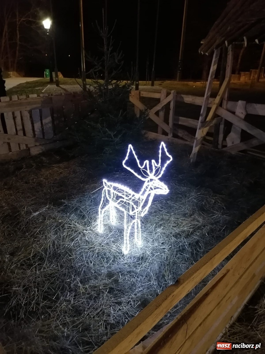 Zdjęcie w galerii na portalu naszraciborz.pl: Kuźnia Raciborska zaprasza do magicznej szopki  wiadomości z regionu