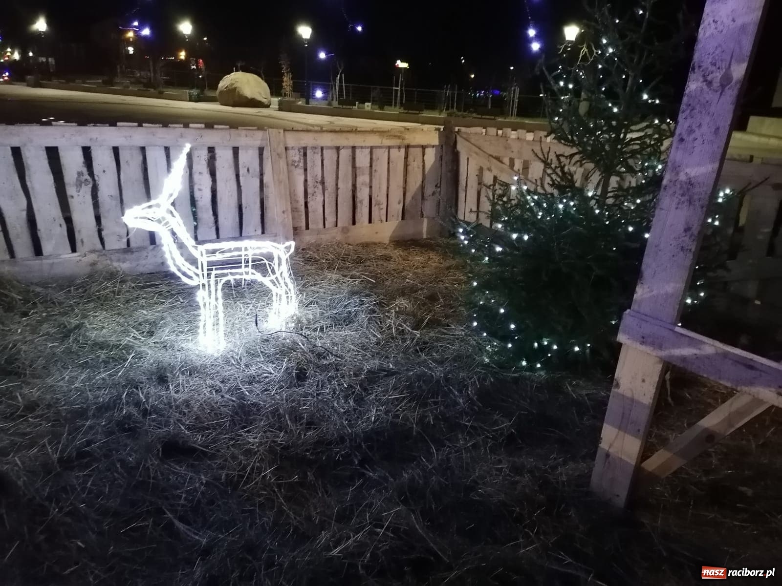 Zdjęcie w galerii na portalu naszraciborz.pl: Kuźnia Raciborska zaprasza do magicznej szopki  wiadomości z regionu