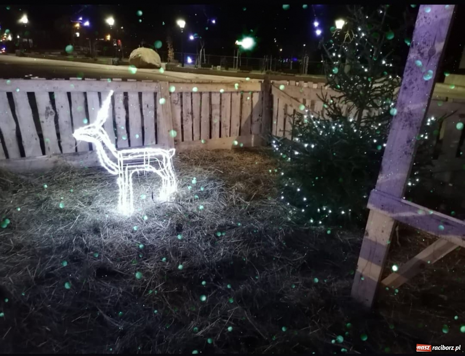 Zdjęcie w galerii na portalu naszraciborz.pl: Kuźnia Raciborska zaprasza do magicznej szopki  wiadomości z regionu