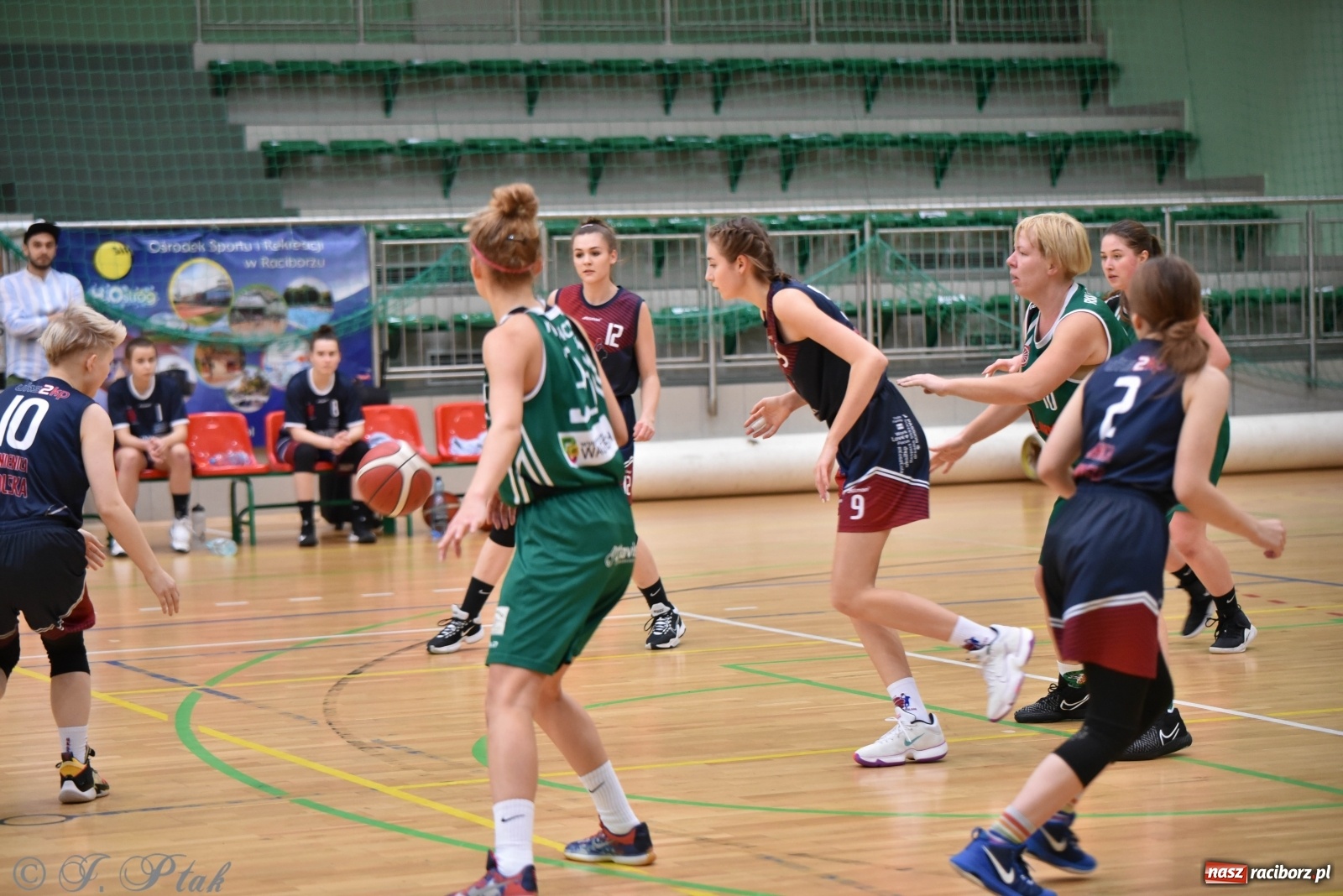 Zdjęcie w galerii na portalu naszraciborz.pl: Sportowe podsumowanie weekendu i fotorelacja z meczu RKK AZS Racibórz wiadomości z regionu