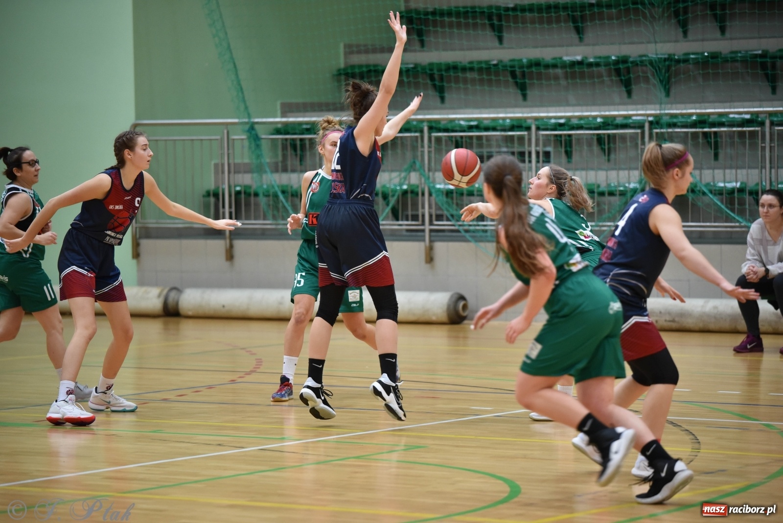 Zdjęcie w galerii na portalu naszraciborz.pl: Sportowe podsumowanie weekendu i fotorelacja z meczu RKK AZS Racibórz wiadomości z regionu