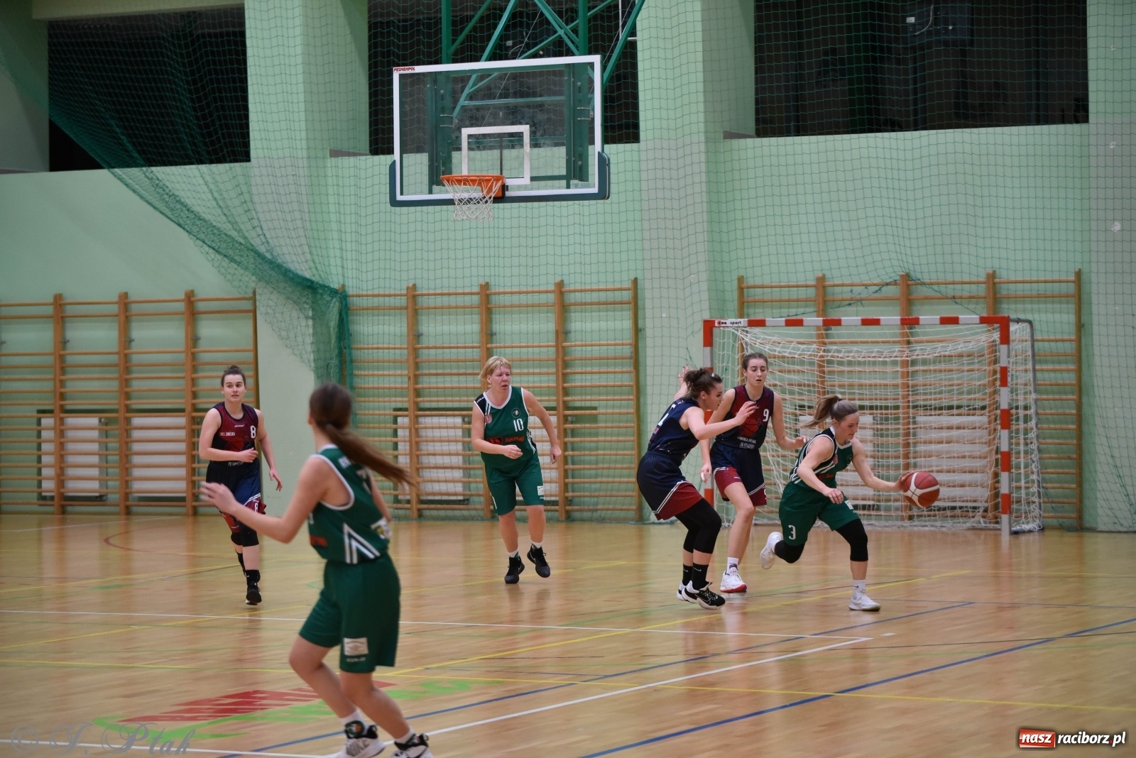 Zdjęcie w galerii na portalu naszraciborz.pl: Sportowe podsumowanie weekendu i fotorelacja z meczu RKK AZS Racibórz wiadomości z regionu