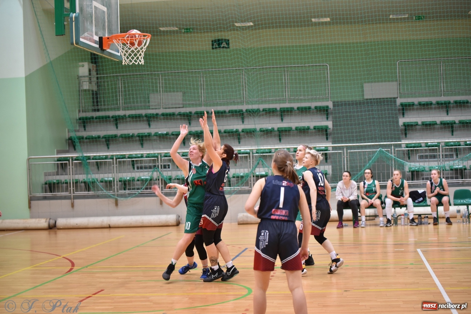 Zdjęcie w galerii na portalu naszraciborz.pl: Sportowe podsumowanie weekendu i fotorelacja z meczu RKK AZS Racibórz wiadomości z regionu