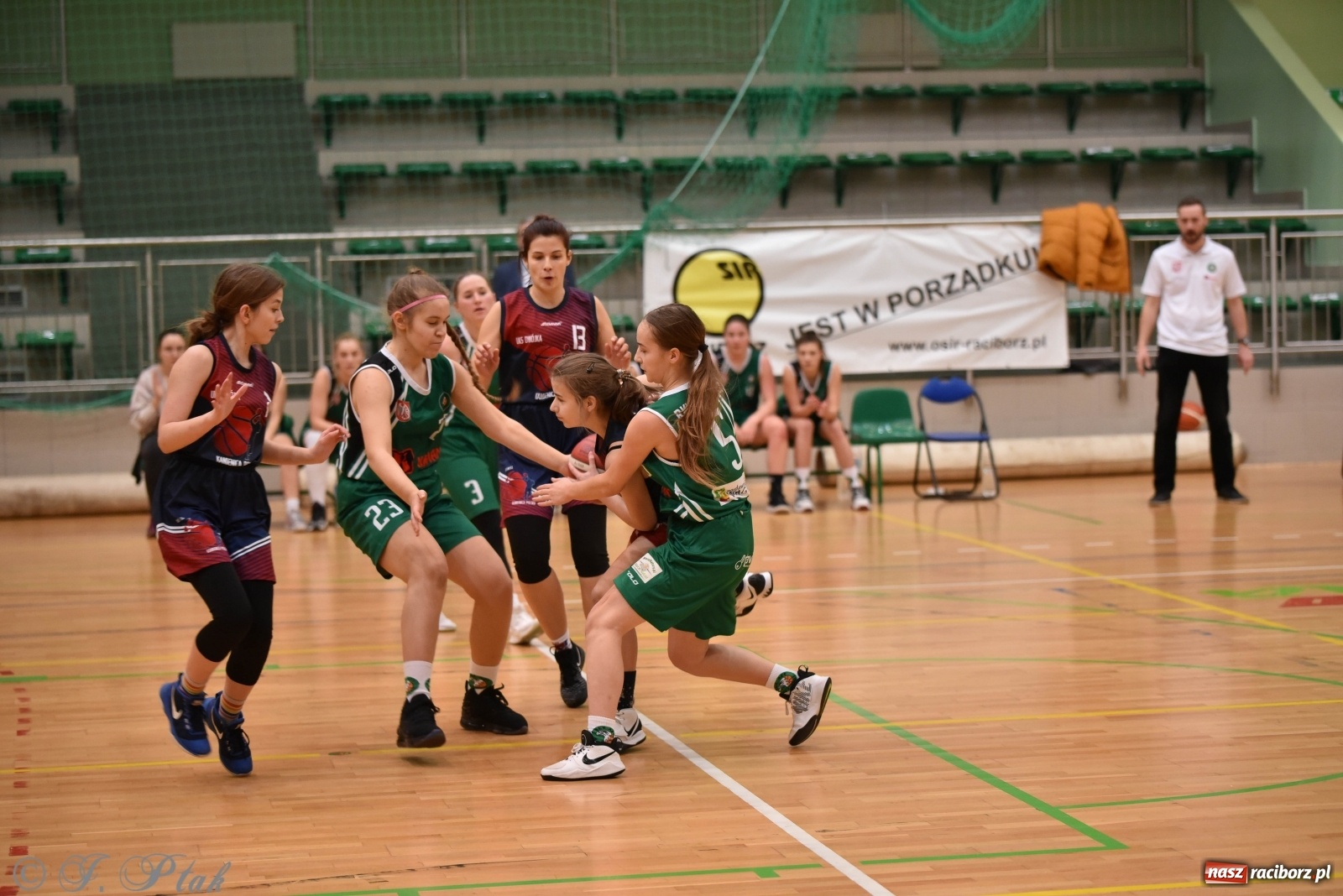 Zdjęcie w galerii na portalu naszraciborz.pl: Sportowe podsumowanie weekendu i fotorelacja z meczu RKK AZS Racibórz wiadomości z regionu