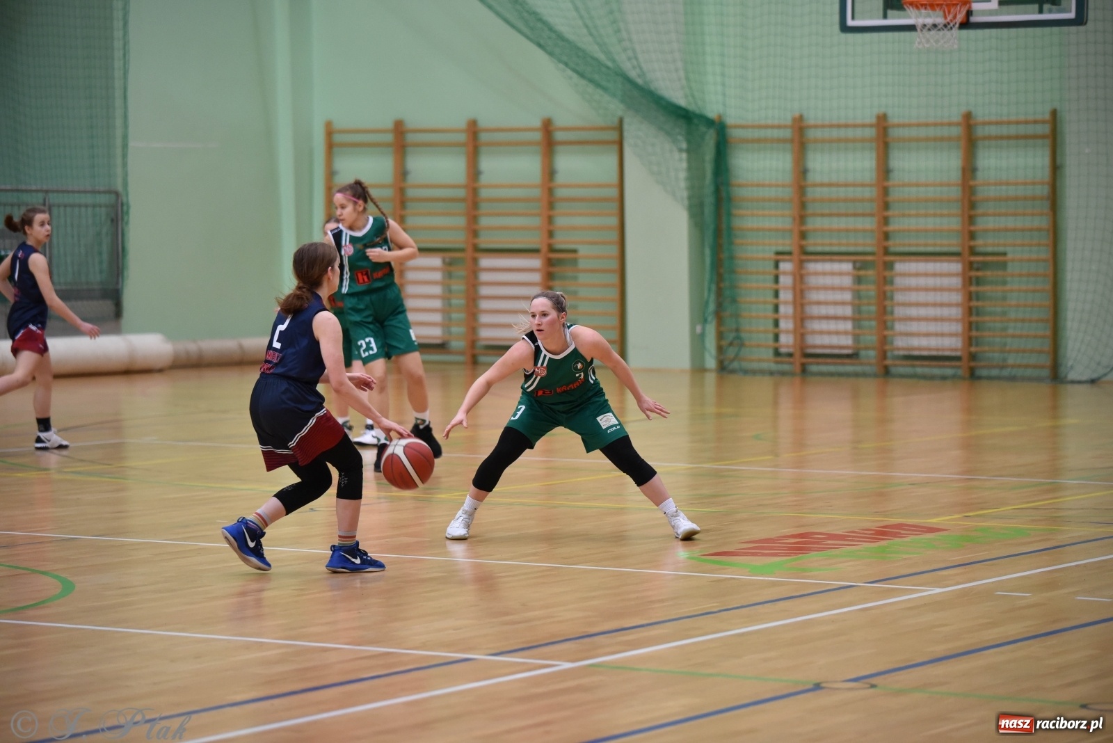 Zdjęcie w galerii na portalu naszraciborz.pl: Sportowe podsumowanie weekendu i fotorelacja z meczu RKK AZS Racibórz wiadomości z regionu