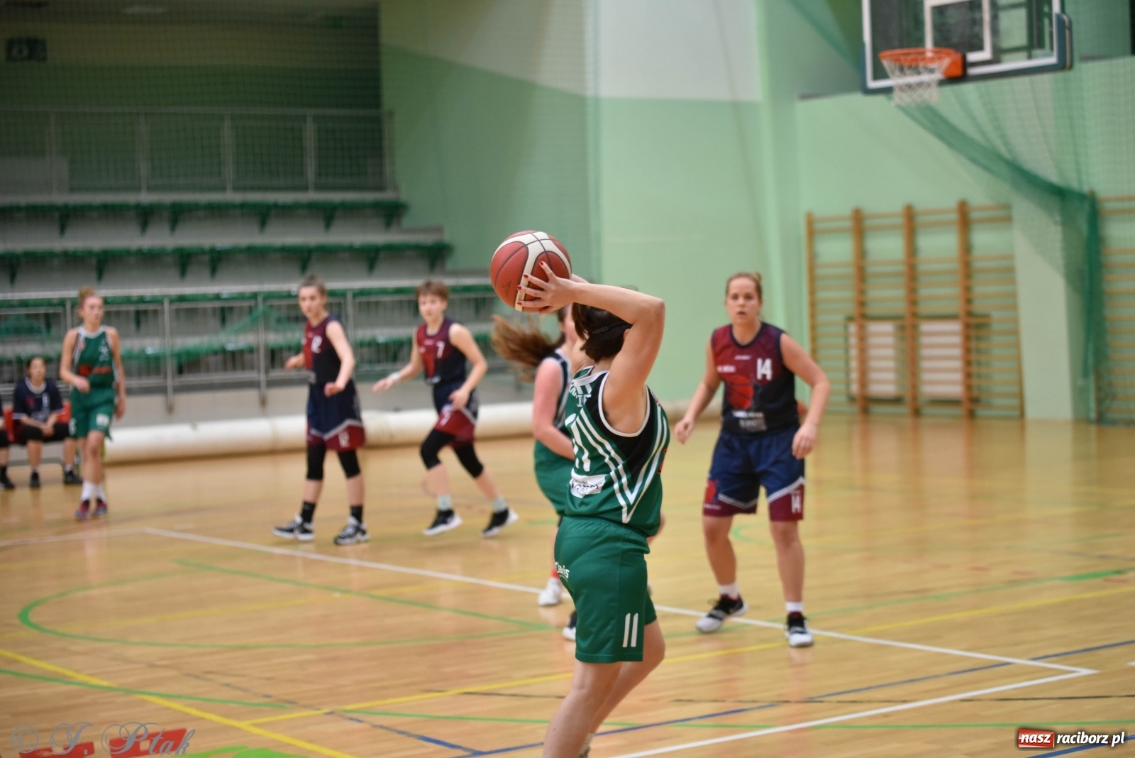 Zdjęcie w galerii na portalu naszraciborz.pl: Sportowe podsumowanie weekendu i fotorelacja z meczu RKK AZS Racibórz wiadomości z regionu