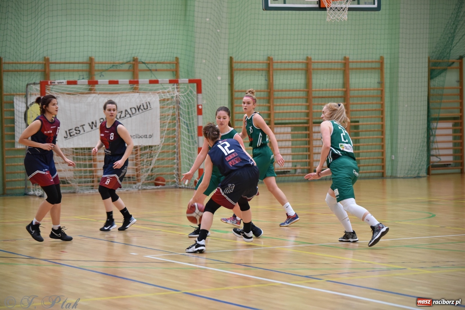 Zdjęcie w galerii na portalu naszraciborz.pl: Sportowe podsumowanie weekendu i fotorelacja z meczu RKK AZS Racibórz wiadomości z regionu