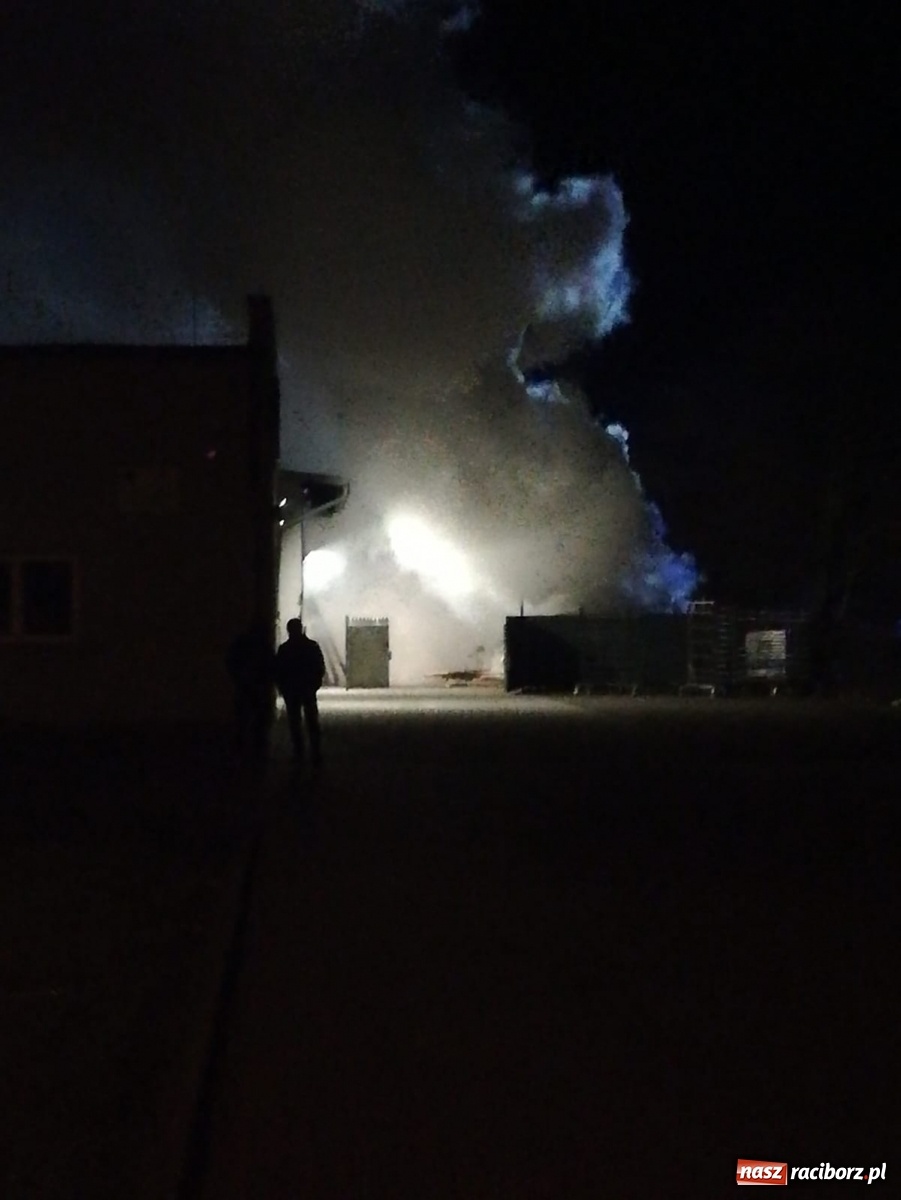 Zdjęcie w galerii na portalu naszraciborz.pl: Pietrowice Wielkie. Pożar na terenie zakładu przy 1 Maja [WIDEO] wiadomości z regionu