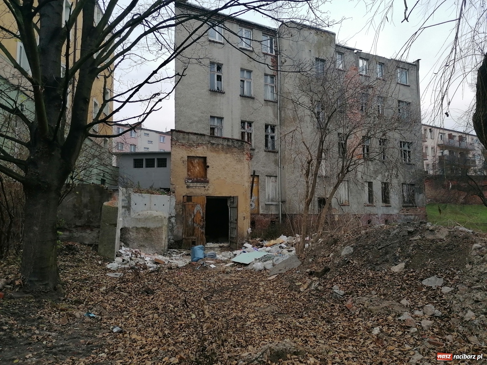 Zdjęcie w galerii na portalu naszraciborz.pl: Rudera przy Drzymały. Czy ktoś czeka na tragedię?  wiadomości z regionu