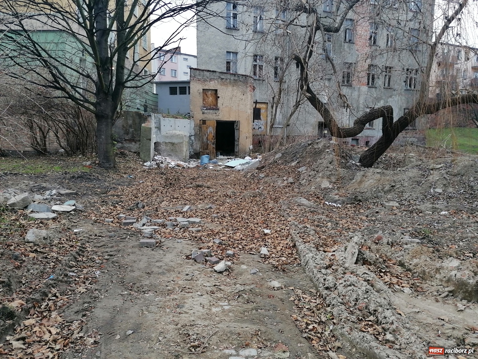 Zdjęcie w galerii na portalu naszraciborz.pl: Rudera przy Drzymały. Czy ktoś czeka na tragedię?  wiadomości z regionu