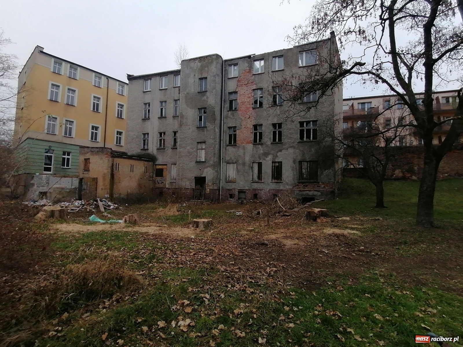 Zdjęcie w galerii na portalu naszraciborz.pl: Rudera przy Drzymały. Czy ktoś czeka na tragedię?  wiadomości z regionu