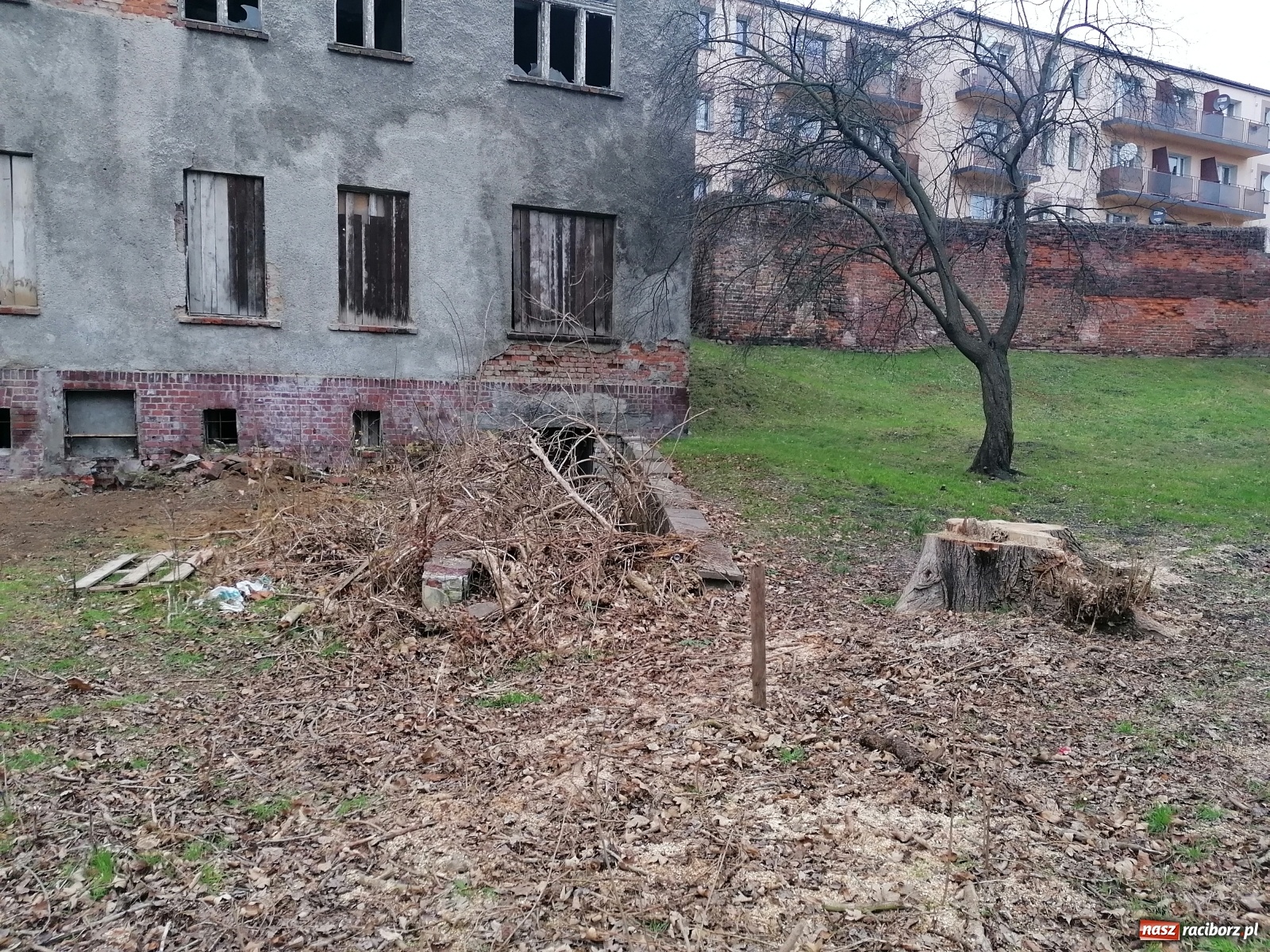 Zdjęcie w galerii na portalu naszraciborz.pl: Rudera przy Drzymały. Czy ktoś czeka na tragedię?  wiadomości z regionu
