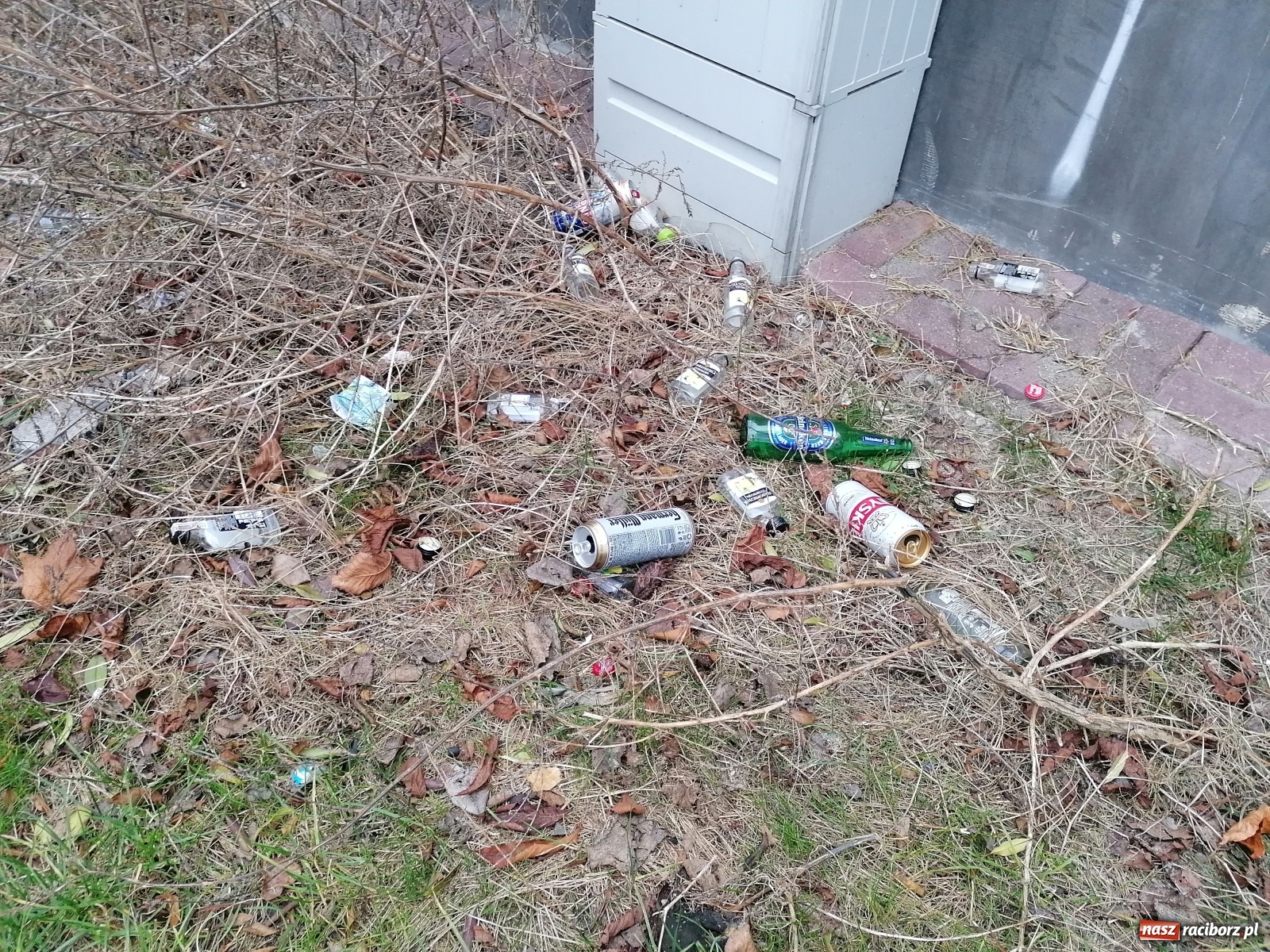 Zdjęcie w galerii na portalu naszraciborz.pl: Rudera przy Drzymały. Czy ktoś czeka na tragedię?  wiadomości z regionu