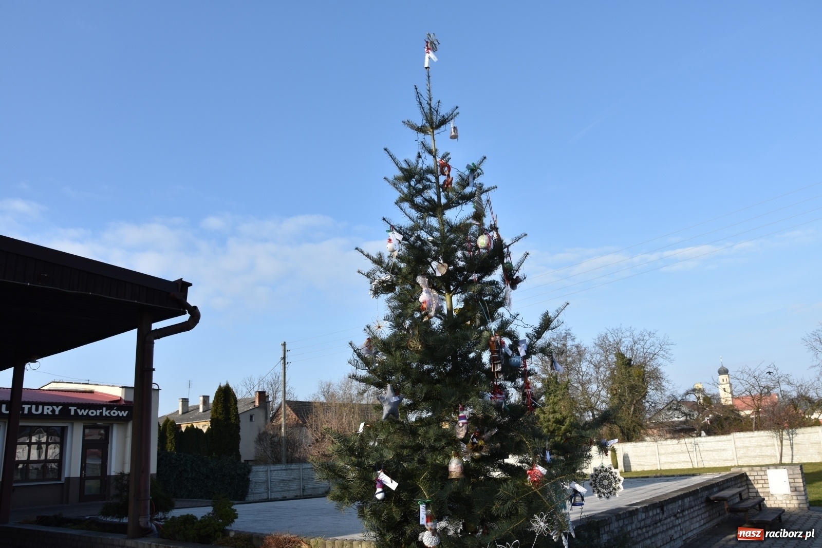 Zdjęcie w galerii na portalu naszraciborz.pl: Magiczna choinka w Tworkowie  wiadomości z regionu