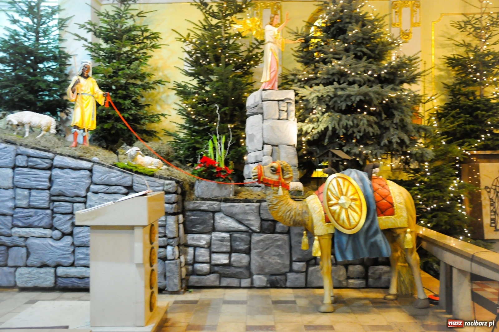 Zdjęcie w galerii na portalu naszraciborz.pl: Szopki u pietrowickich zawierzanek i raciborskich franciszkanów [FOTO] wiadomości z regionu