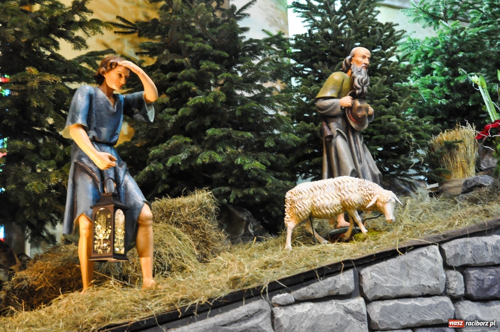 Zdjęcie w galerii na portalu naszraciborz.pl: Szopki u pietrowickich zawierzanek i raciborskich franciszkanów [FOTO] wiadomości z regionu