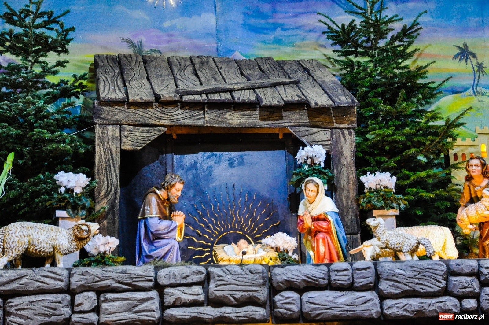 Zdjęcie w galerii na portalu naszraciborz.pl: Szopki u pietrowickich zawierzanek i raciborskich franciszkanów [FOTO] wiadomości z regionu