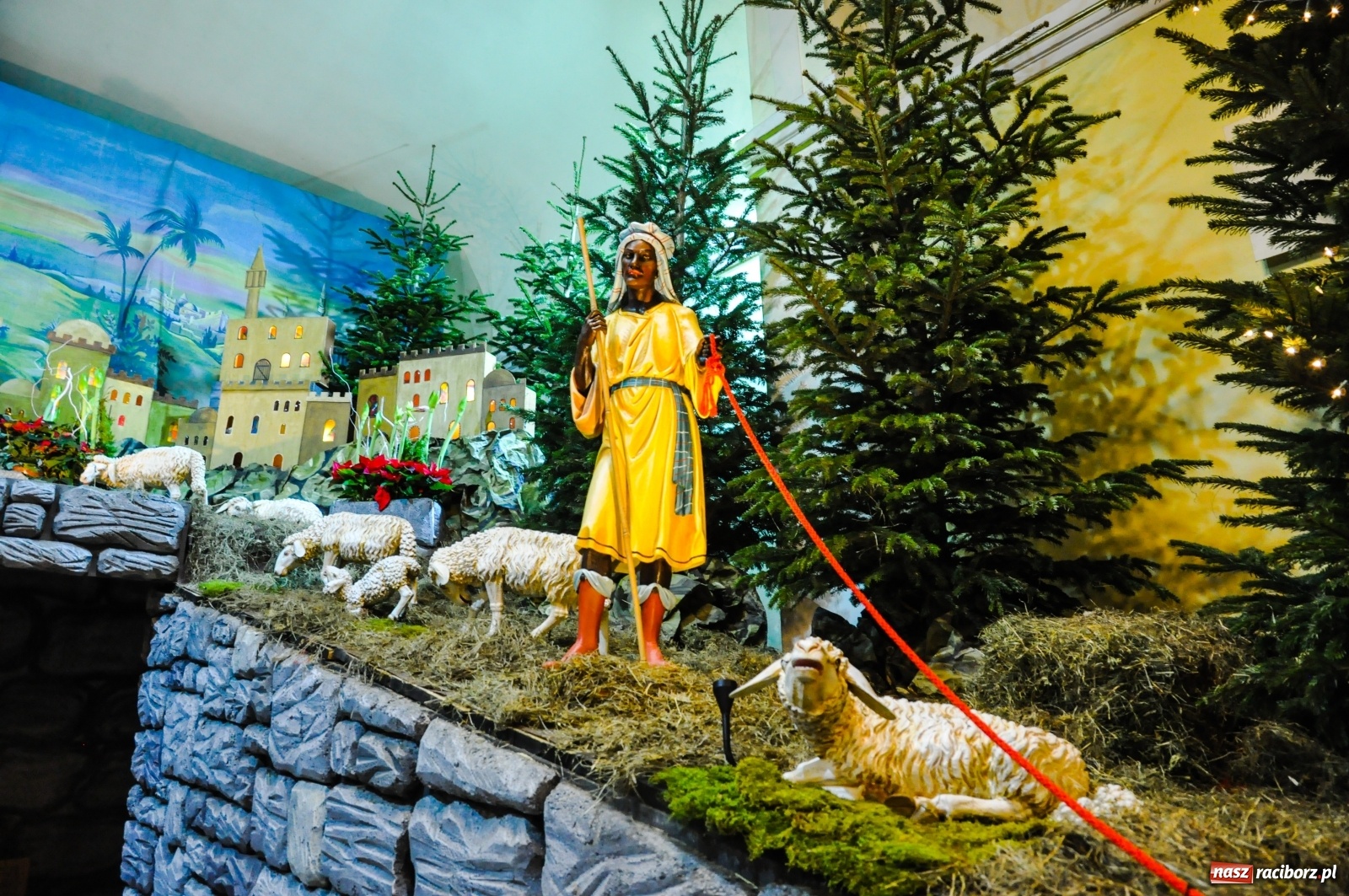 Zdjęcie w galerii na portalu naszraciborz.pl: Szopki u pietrowickich zawierzanek i raciborskich franciszkanów [FOTO] wiadomości z regionu