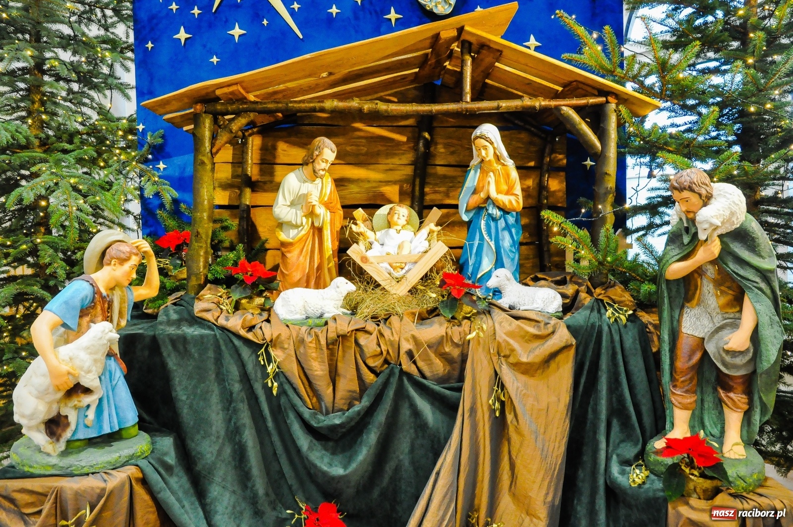 Zdjęcie w galerii na portalu naszraciborz.pl: Szopki u pietrowickich zawierzanek i raciborskich franciszkanów [FOTO] wiadomości z regionu