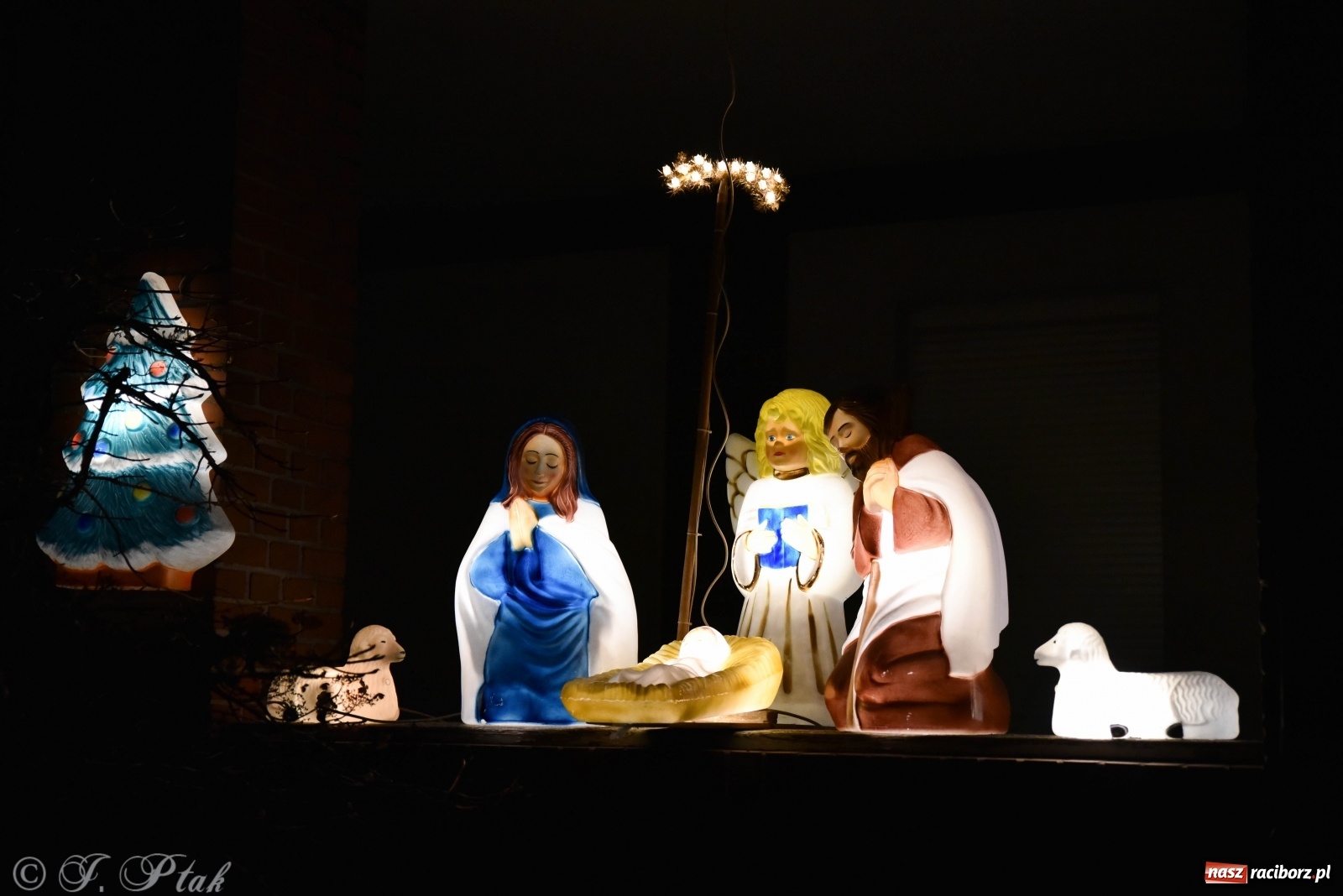 Zdjęcie w galerii na portalu naszraciborz.pl: Szopki w raciborskich kościołach AD 2020 wiadomości z regionu