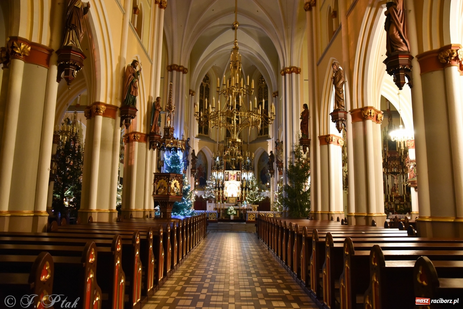 Zdjęcie w galerii na portalu naszraciborz.pl: Szopki w raciborskich kościołach AD 2020 wiadomości z regionu