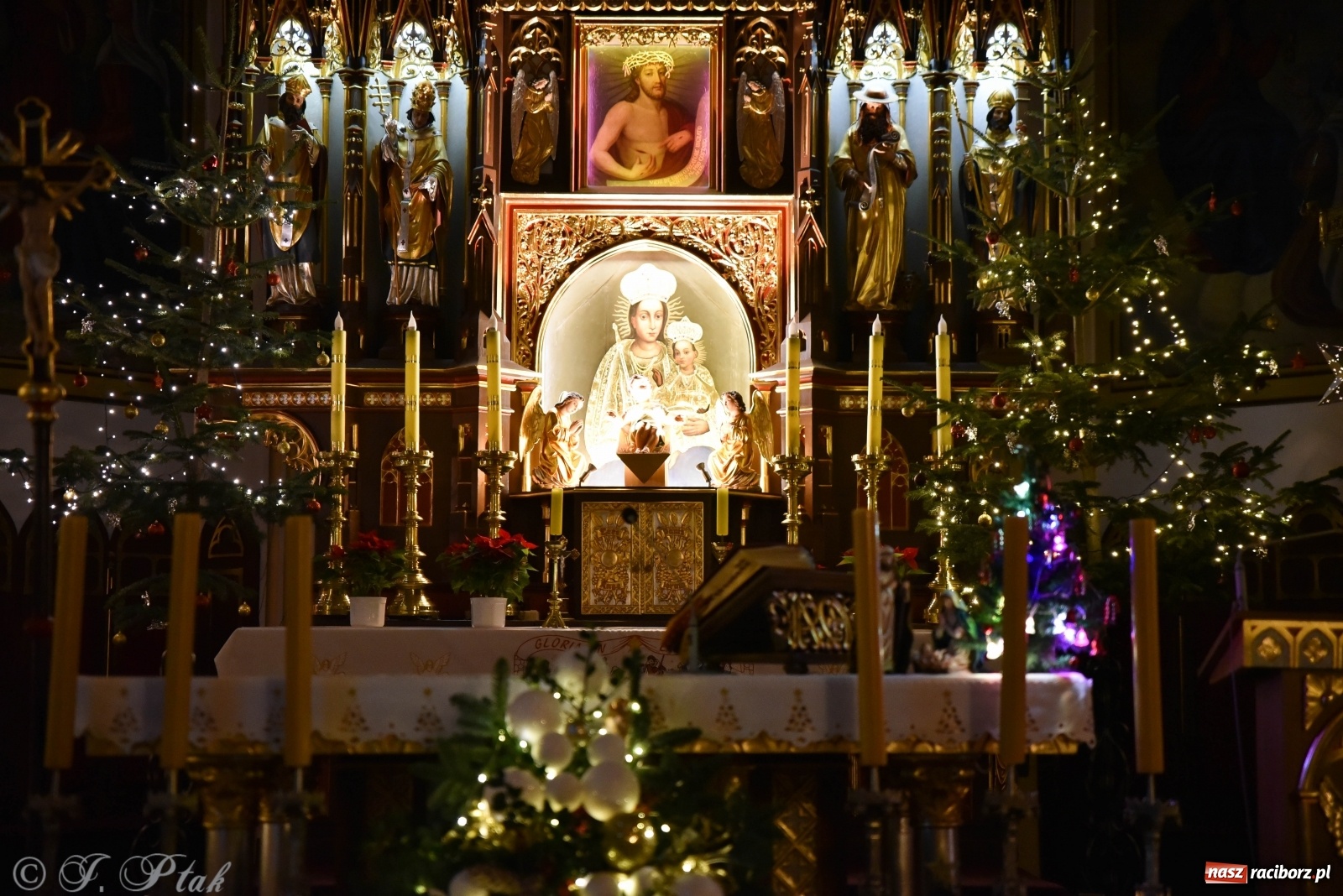 Zdjęcie w galerii na portalu naszraciborz.pl: Szopki w raciborskich kościołach AD 2020 wiadomości z regionu