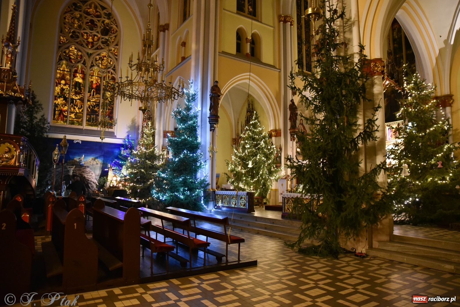 Zdjęcie w galerii na portalu naszraciborz.pl: Szopki w raciborskich kościołach AD 2020 wiadomości z regionu