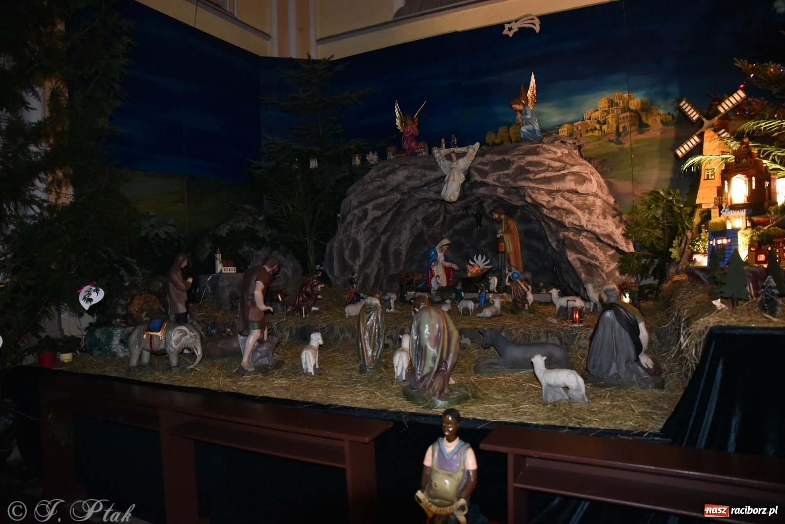 Zdjęcie w galerii na portalu naszraciborz.pl: Szopki w raciborskich kościołach AD 2020 wiadomości z regionu