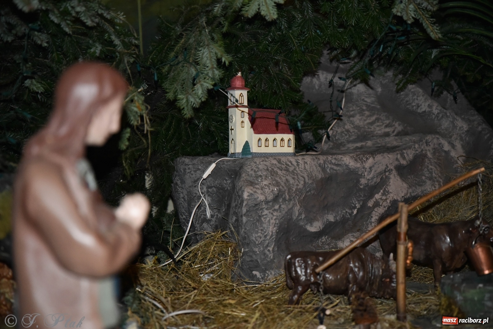 Zdjęcie w galerii na portalu naszraciborz.pl: Szopki w raciborskich kościołach AD 2020 wiadomości z regionu