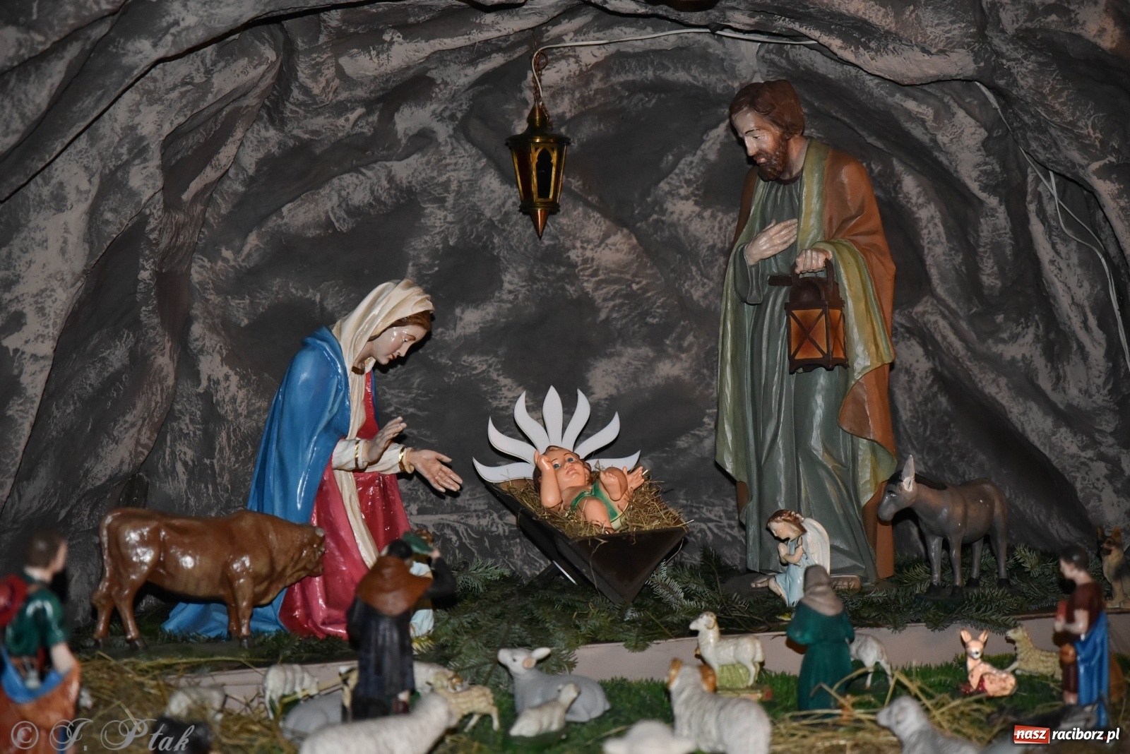 Zdjęcie w galerii na portalu naszraciborz.pl: Szopki w raciborskich kościołach AD 2020 wiadomości z regionu