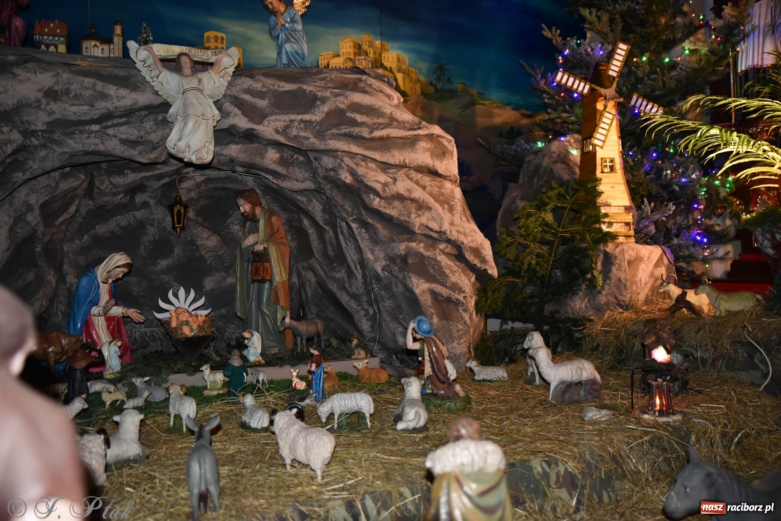 Zdjęcie w galerii na portalu naszraciborz.pl: Szopki w raciborskich kościołach AD 2020 wiadomości z regionu