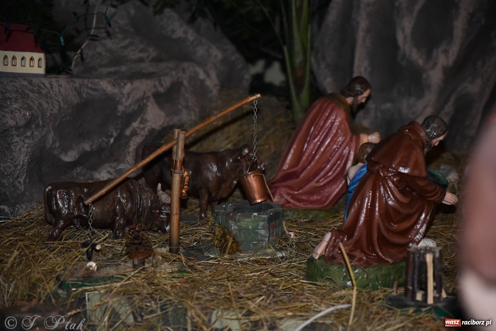 Zdjęcie w galerii na portalu naszraciborz.pl: Szopki w raciborskich kościołach AD 2020 wiadomości z regionu