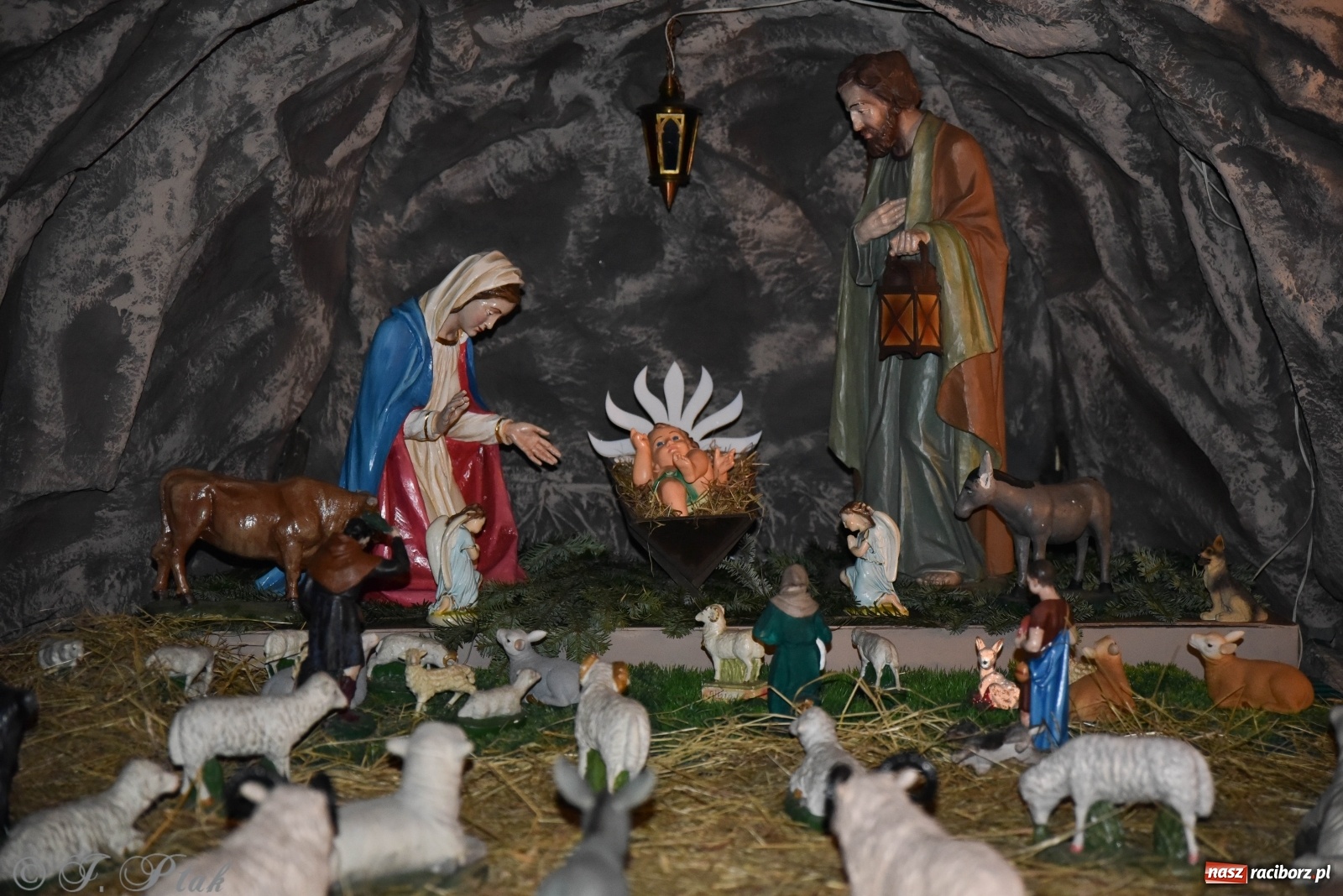 Zdjęcie w galerii na portalu naszraciborz.pl: Szopki w raciborskich kościołach AD 2020 wiadomości z regionu