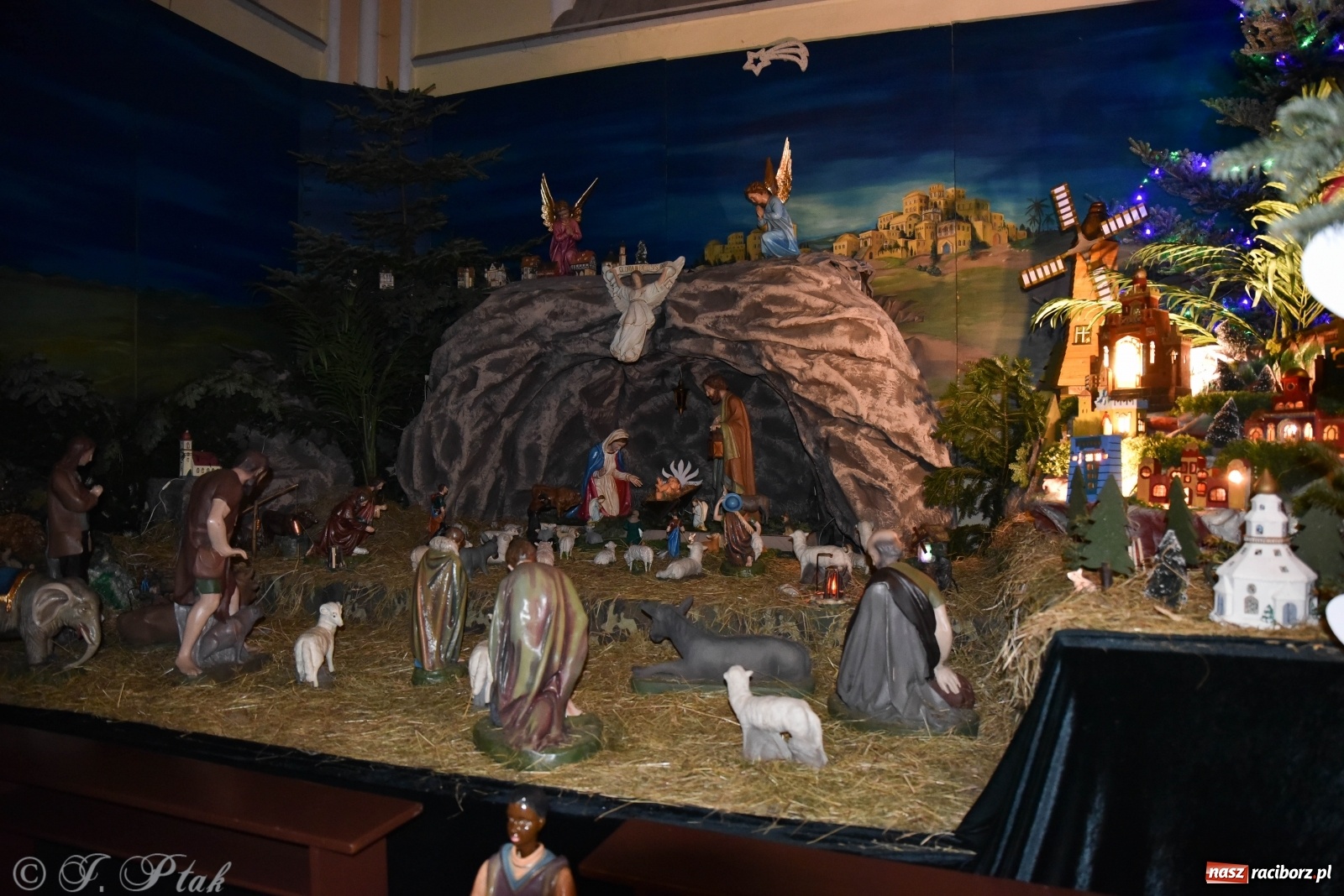 Zdjęcie w galerii na portalu naszraciborz.pl: Szopki w raciborskich kościołach AD 2020 wiadomości z regionu