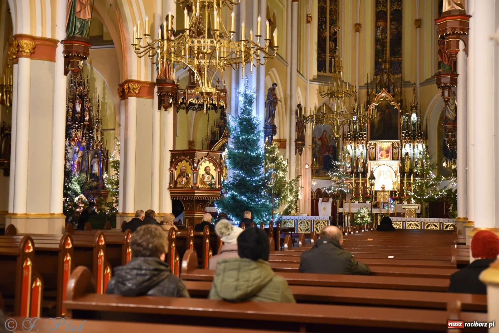 Zdjęcie w galerii na portalu naszraciborz.pl: Szopki w raciborskich kościołach AD 2020 wiadomości z regionu