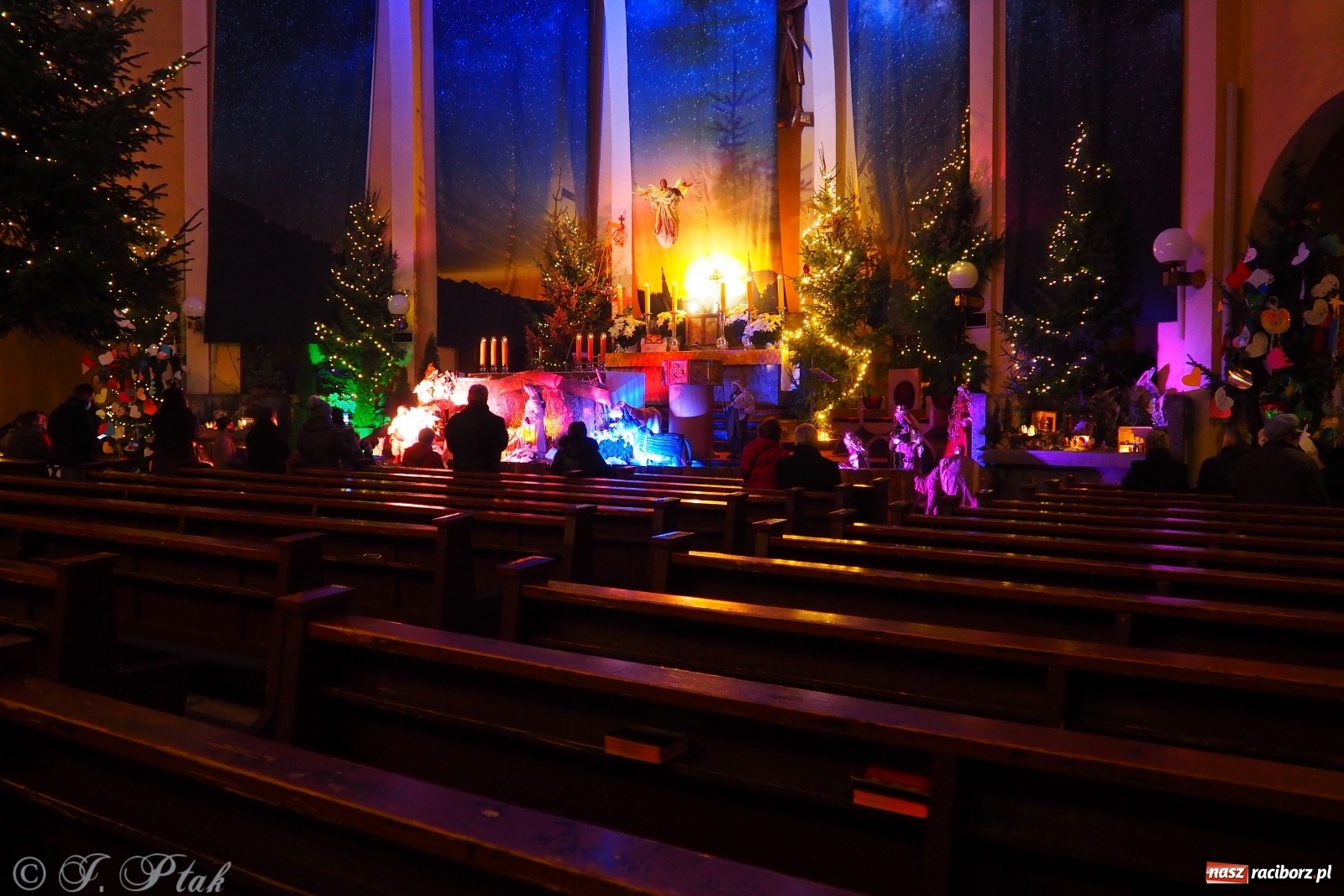 Zdjęcie w galerii na portalu naszraciborz.pl: Szopki w raciborskich kościołach AD 2020 wiadomości z regionu