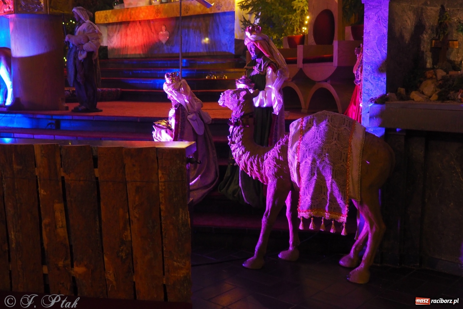 Zdjęcie w galerii na portalu naszraciborz.pl: Szopki w raciborskich kościołach AD 2020 wiadomości z regionu