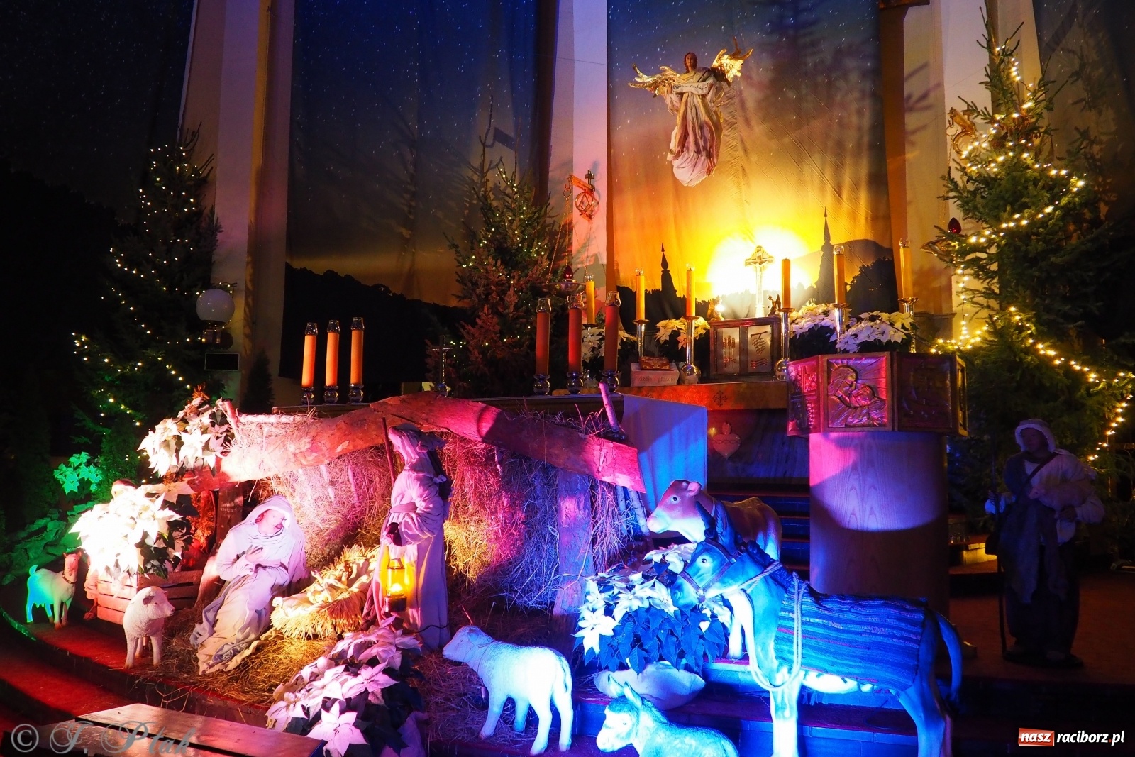 Zdjęcie w galerii na portalu naszraciborz.pl: Szopki w raciborskich kościołach AD 2020 wiadomości z regionu