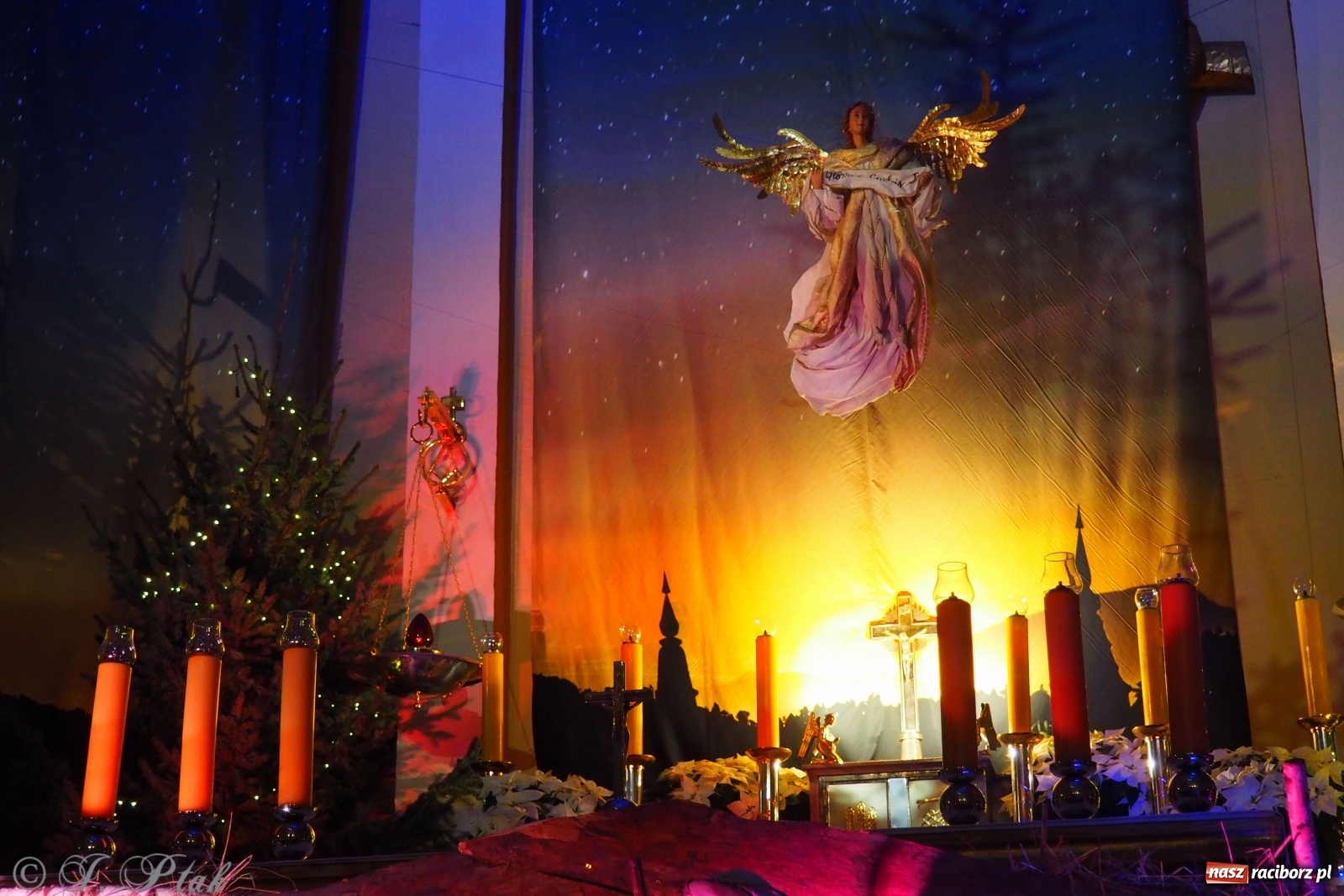 Zdjęcie w galerii na portalu naszraciborz.pl: Szopki w raciborskich kościołach AD 2020 wiadomości z regionu