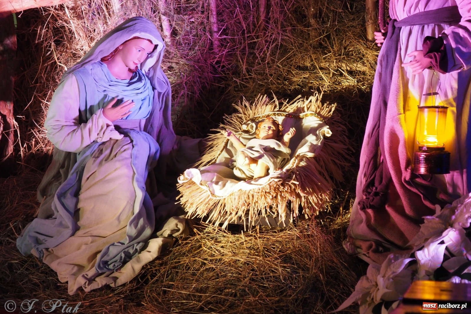 Zdjęcie w galerii na portalu naszraciborz.pl: Szopki w raciborskich kościołach AD 2020 wiadomości z regionu