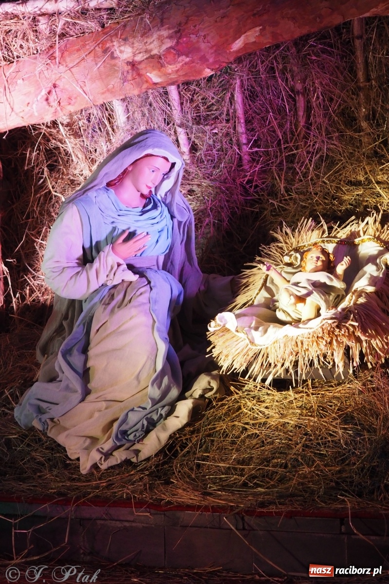 Zdjęcie w galerii na portalu naszraciborz.pl: Szopki w raciborskich kościołach AD 2020 wiadomości z regionu