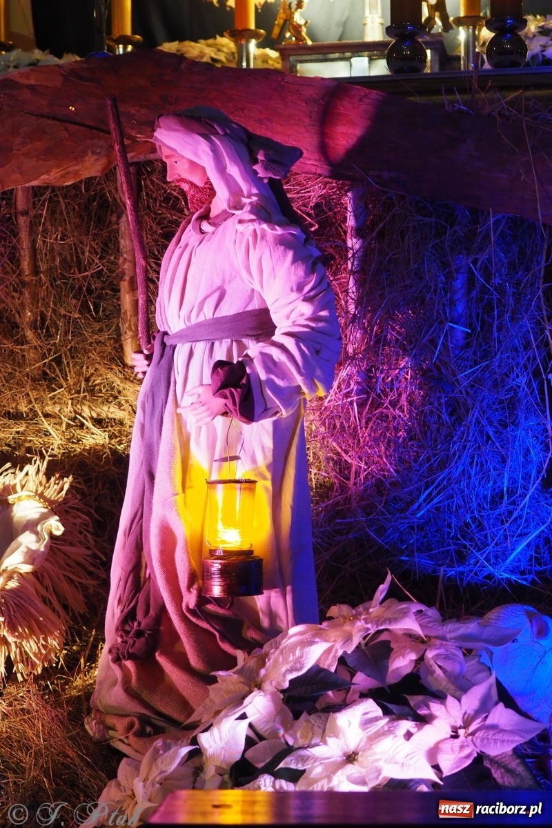 Zdjęcie w galerii na portalu naszraciborz.pl: Szopki w raciborskich kościołach AD 2020 wiadomości z regionu